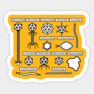 Bacteriophages families Sticker